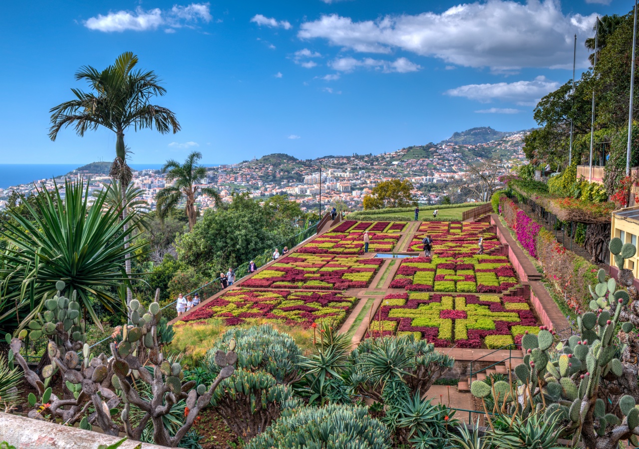 Egy botanikus kert Funchalban