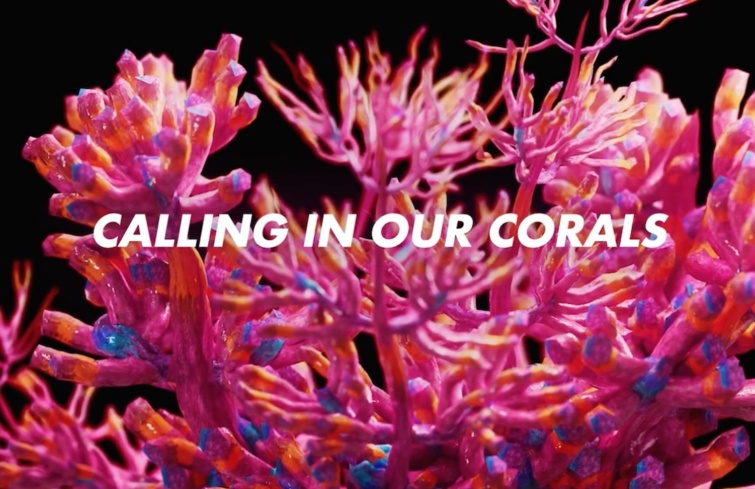 Kép a Google korallmentő, Calling in Our Corals oldaláról