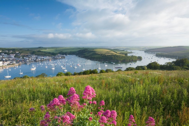 A Devon megyei Salcombe kikötője