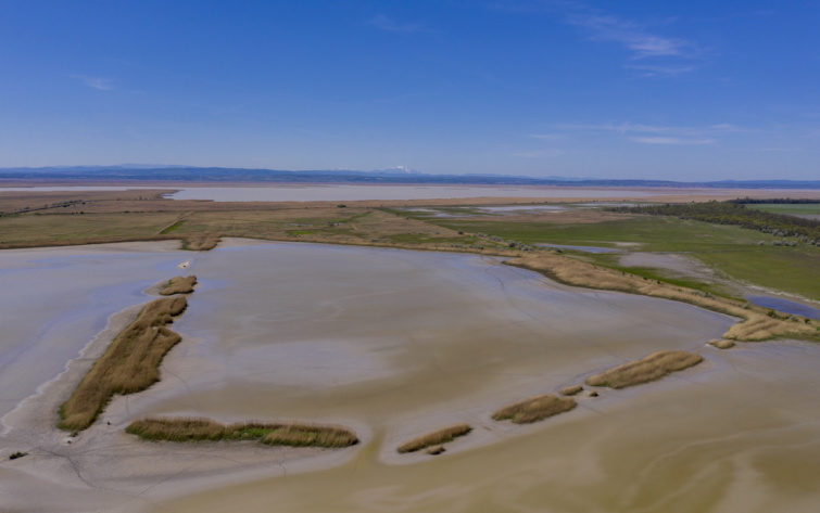 A Fertő-tó Sarród felől fényképezve. A település a Fertő-Hanság Nemzeti Park központja.