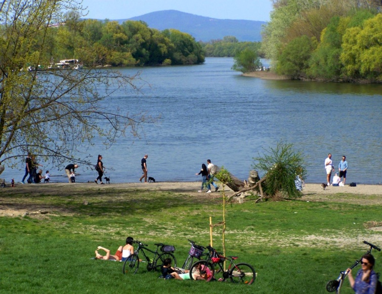 Kerékpárosok pihennek Szentendrén a Duna partján