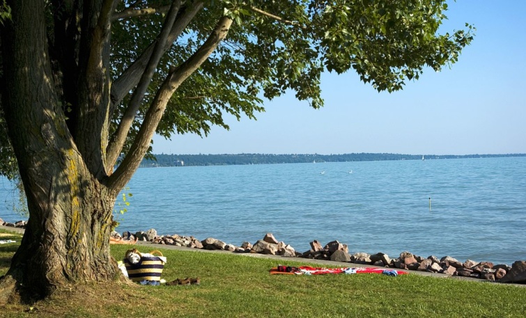 Strand fával törölközővel a fűben egy tó partján.