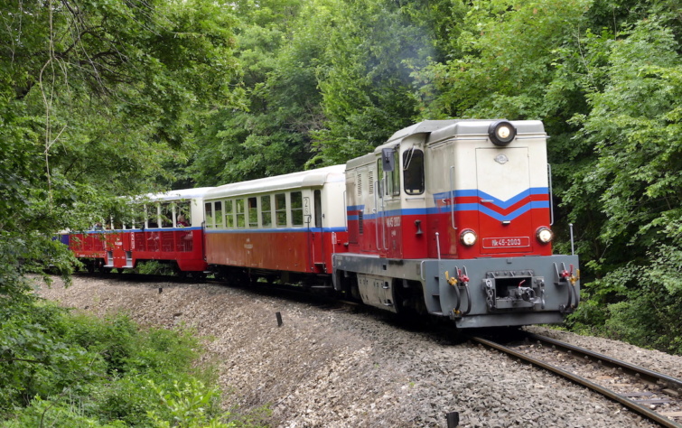 A MÁV-csoport Széchenyi-hegyi Gyermekvasútja egyik Mk45 sorozatszámú erőgépe nyitott és zárt vasúti kocsikat vontat a Szépjuhászné állomás és János-hegy állomás közt az erdőben kanyargó sínpályán. A Széchenyi-hegyi Gyermekvasút, azaz a 7-es számú vasútvonal keskeny nyomtávú vasút, a főváros egyik közlekedési látványossága a II. és XII. kerületben. Érdekessége, hogy a szolgálatot gyermekek látják el felnőttek felügyelete mellett. A vonal két végállomása Széchenyi-hegy és a 235 méterrel alacsonyabban elhelyezkedő Hűvösvölgy. A pálya 11,2 km hosszú, egyvágányú, nem villamosított. A vasút 2015-ben bekerült a Guinness-rekordok közé, mint a világ leghosszabb olyan vasútvonala, ahol a forgalmi és kereskedelmi szolgálatot gyermekek látják el.
