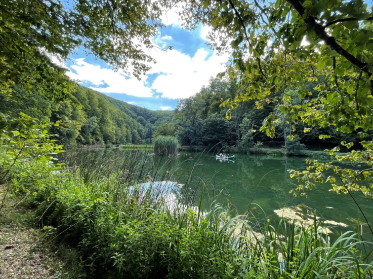 Tavacska a jankovaci erdőpark túraútvonalának kezdetén.