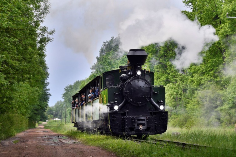 Rezét nosztalgia gőzmozdonya a gemenci természetvédelmi területen.