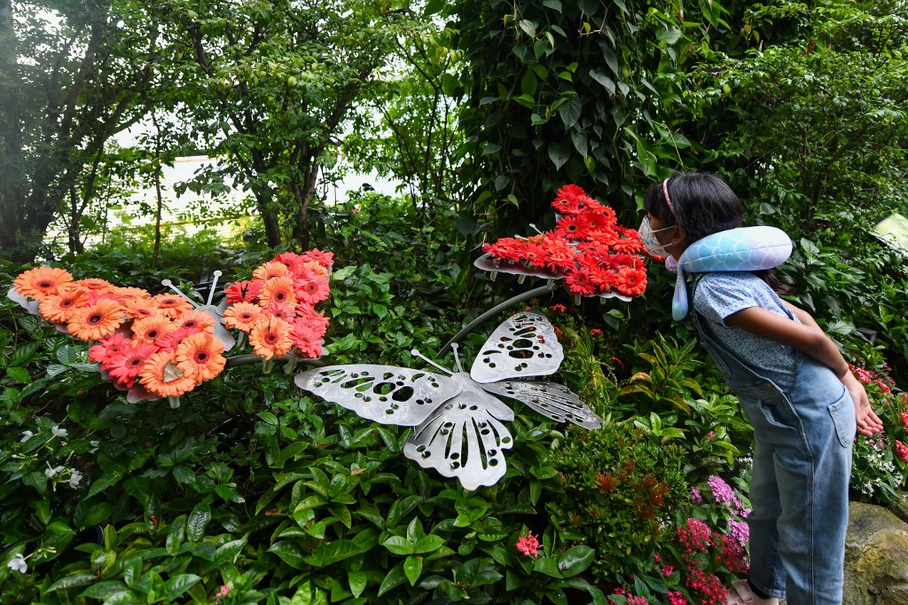 A botanikus kertben állandó kiállítások és tanösvények találhatók
