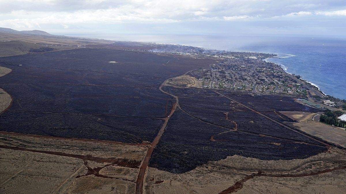 Erdőtűz pusztításának nyomai a hawaii Maui-szigeten fekvő Lahainában.