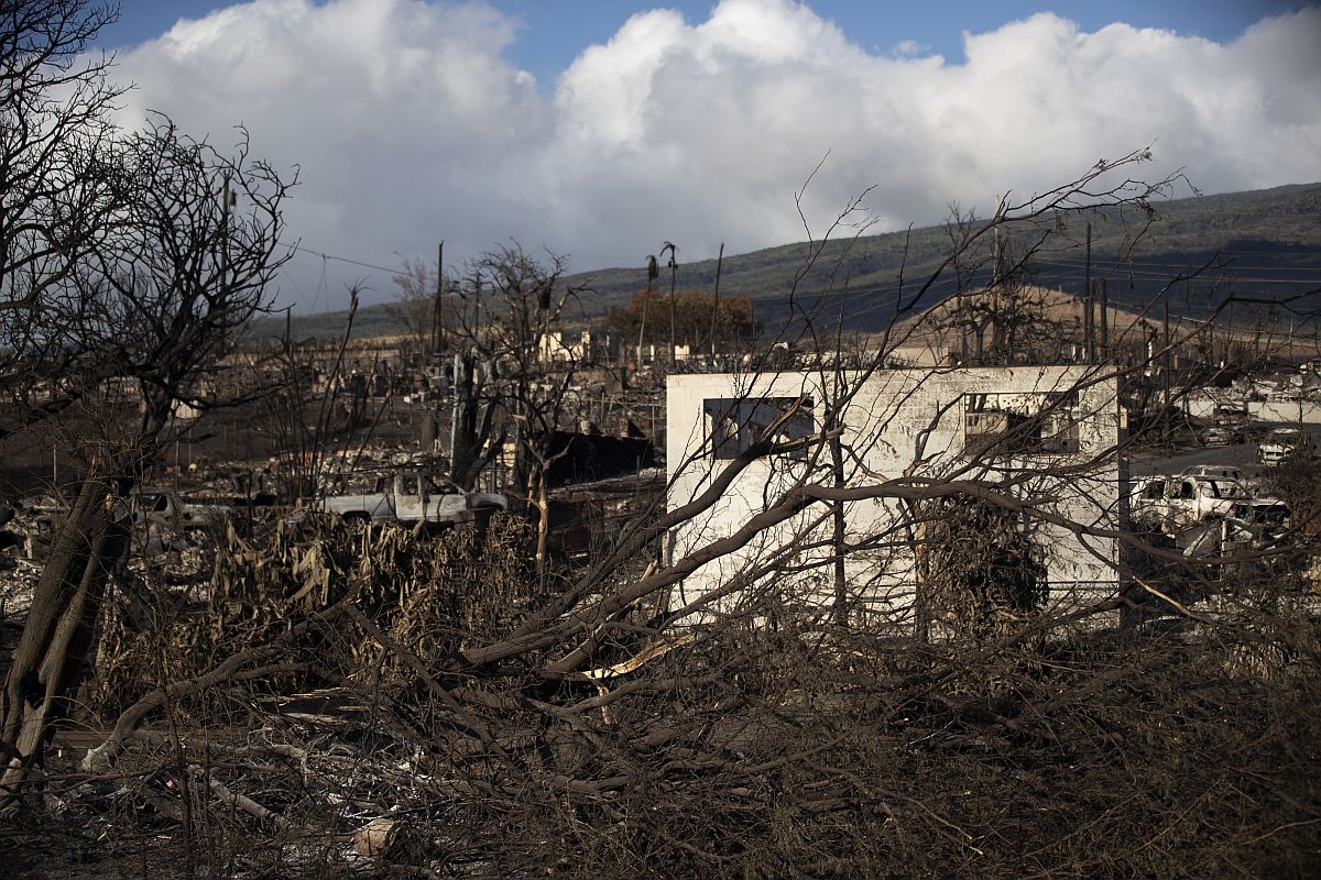 Erdőtűzben leégett ház és fák a hawaii Maui-szigeten fekvő Lahainában 2023. augusztus 13-án.
