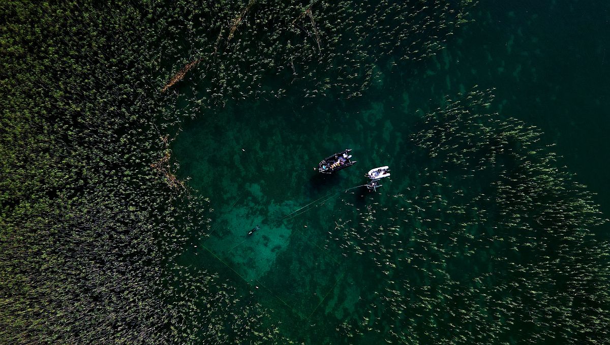 Búvár az Ohridi-tóban.