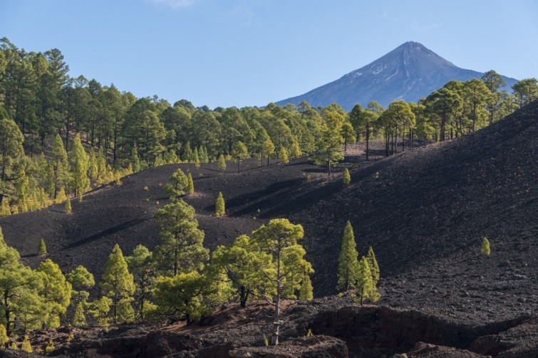 Hegyoldal Tenerifén