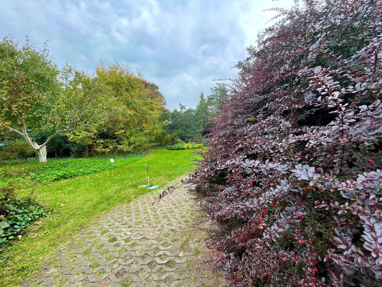 A Budai Arborétum kijárata.