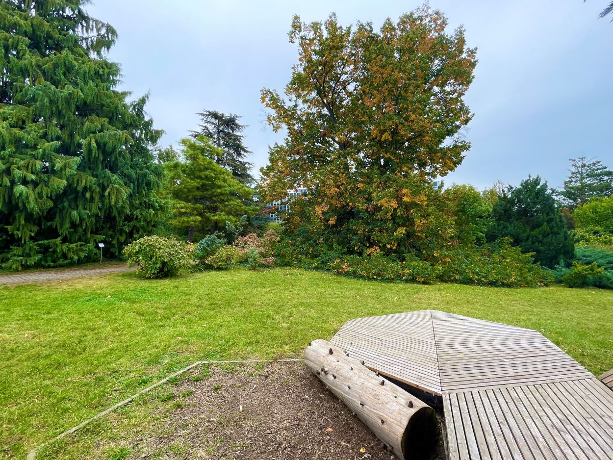 Sárguló környezet a Budai Arborétumban.