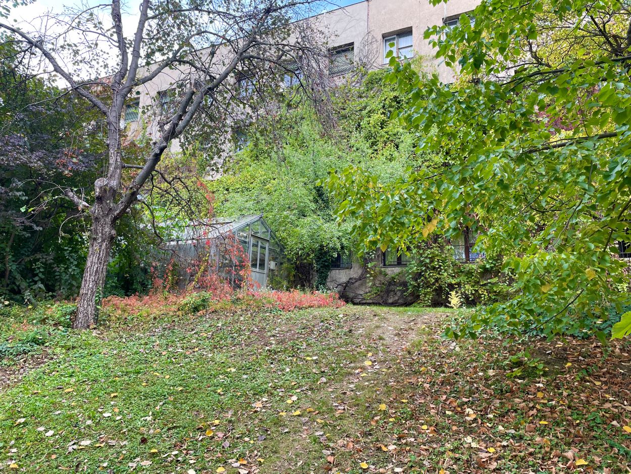 A Budai Arborétum egyik üvegháza őszi környezetben.
