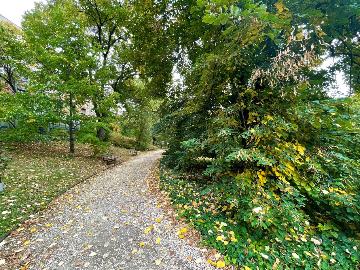 Sétálós ösvény a Budai Arborétumban.