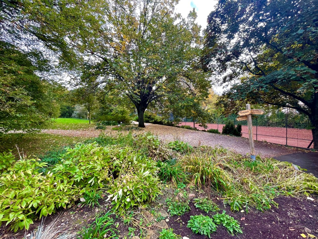 A Budai Arborétum bejáratánál lévő növények.