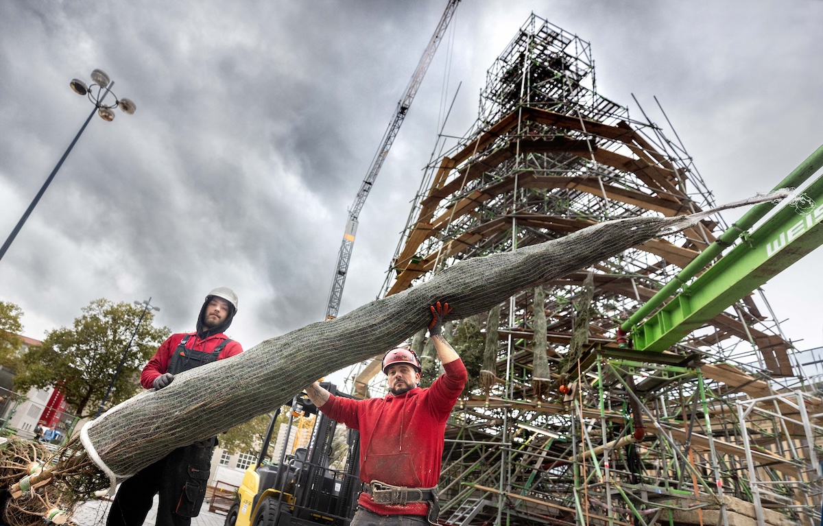 A világ legnagyobb karácsonyfája Dortmundban