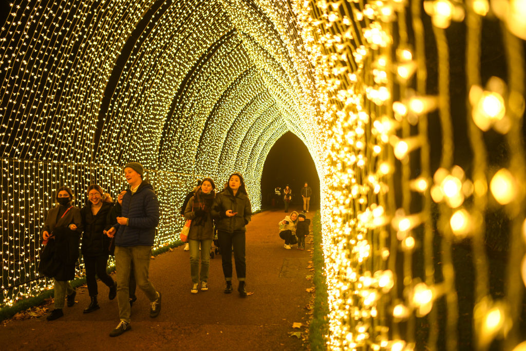 Karácsonyi fények az edinburghi Királyi Botanikus Kertben