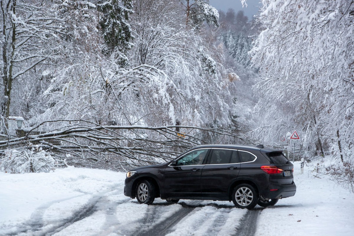 A németországi Oberurselban fák dőltek ki a hirtelen jött havazás miatt