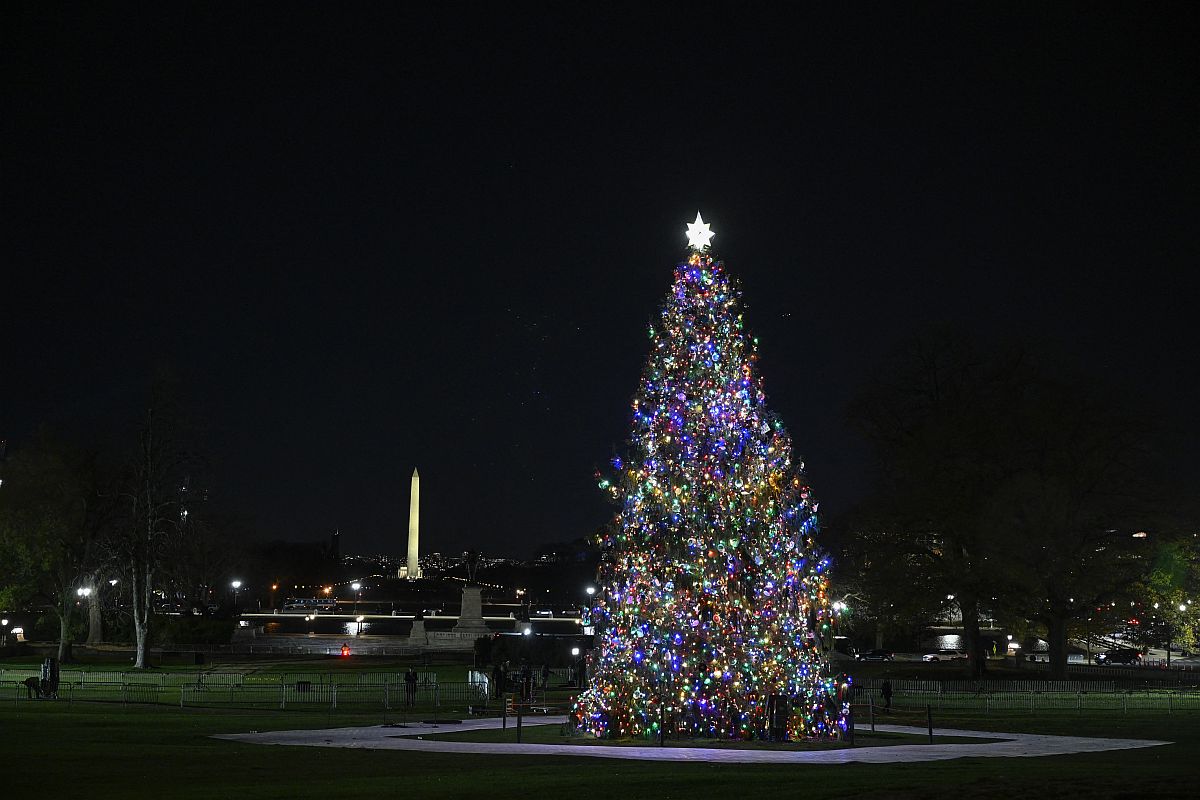 Karácsonyfa a Capitolium előtt.