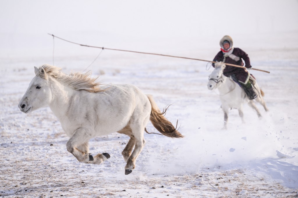 Mongol lovas lovat hajt