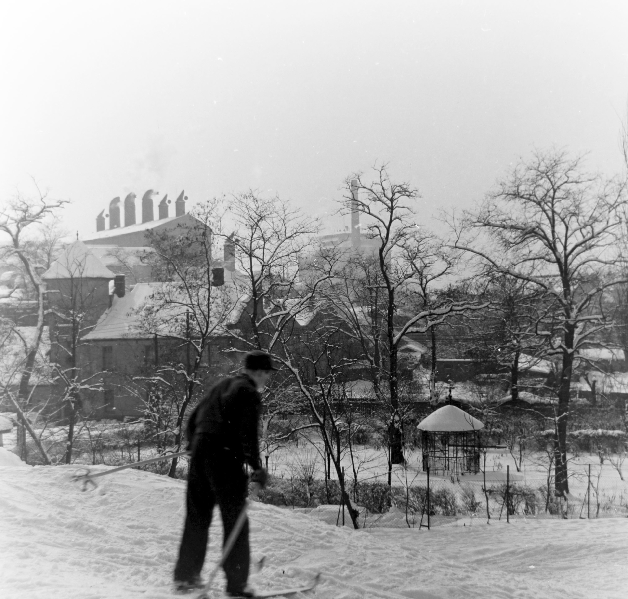 Budapesti szánkópálya a Bebek utcánál, háttérben a Kőbányai Sörgyár épületei, 1955-ben