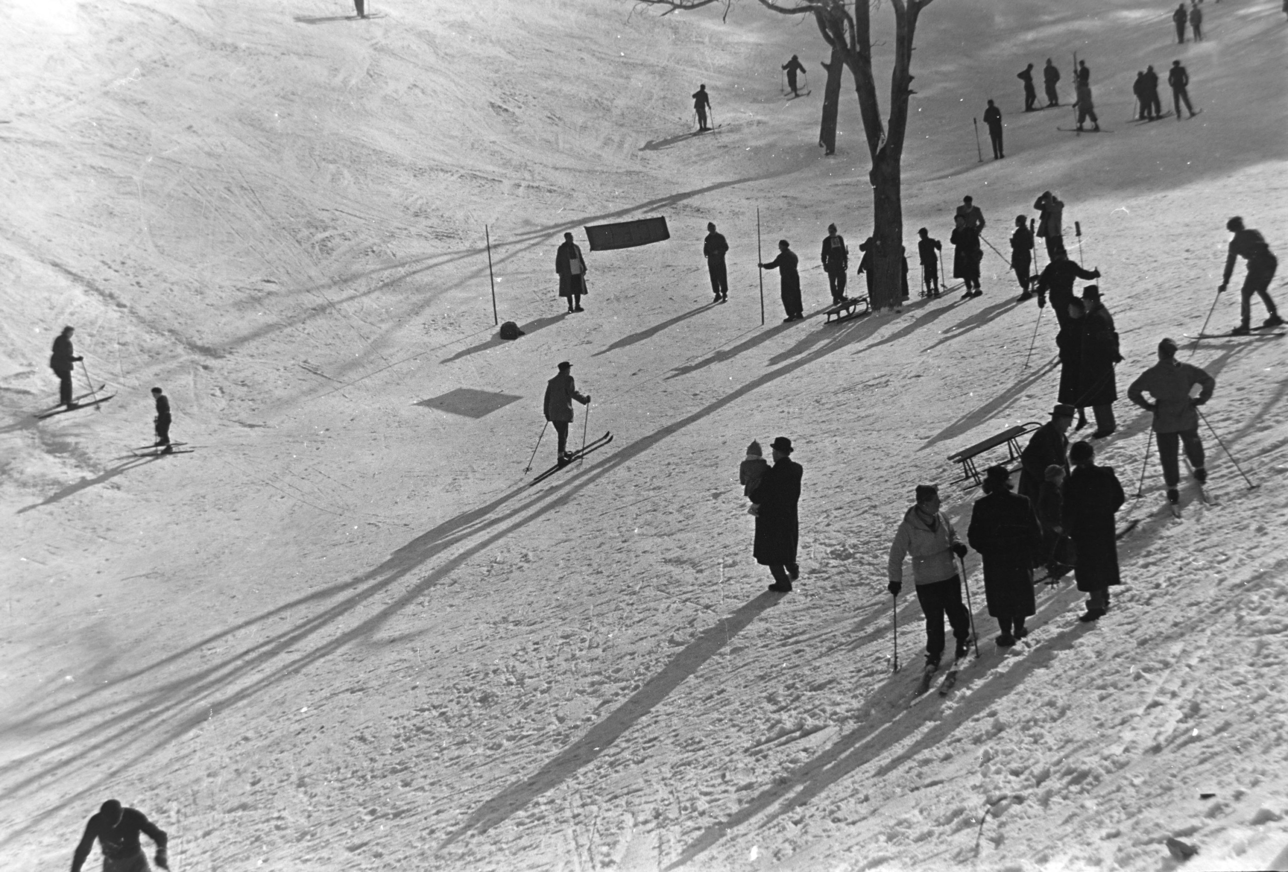 Harangvölgy a Normafa alatt, 1955-ben.