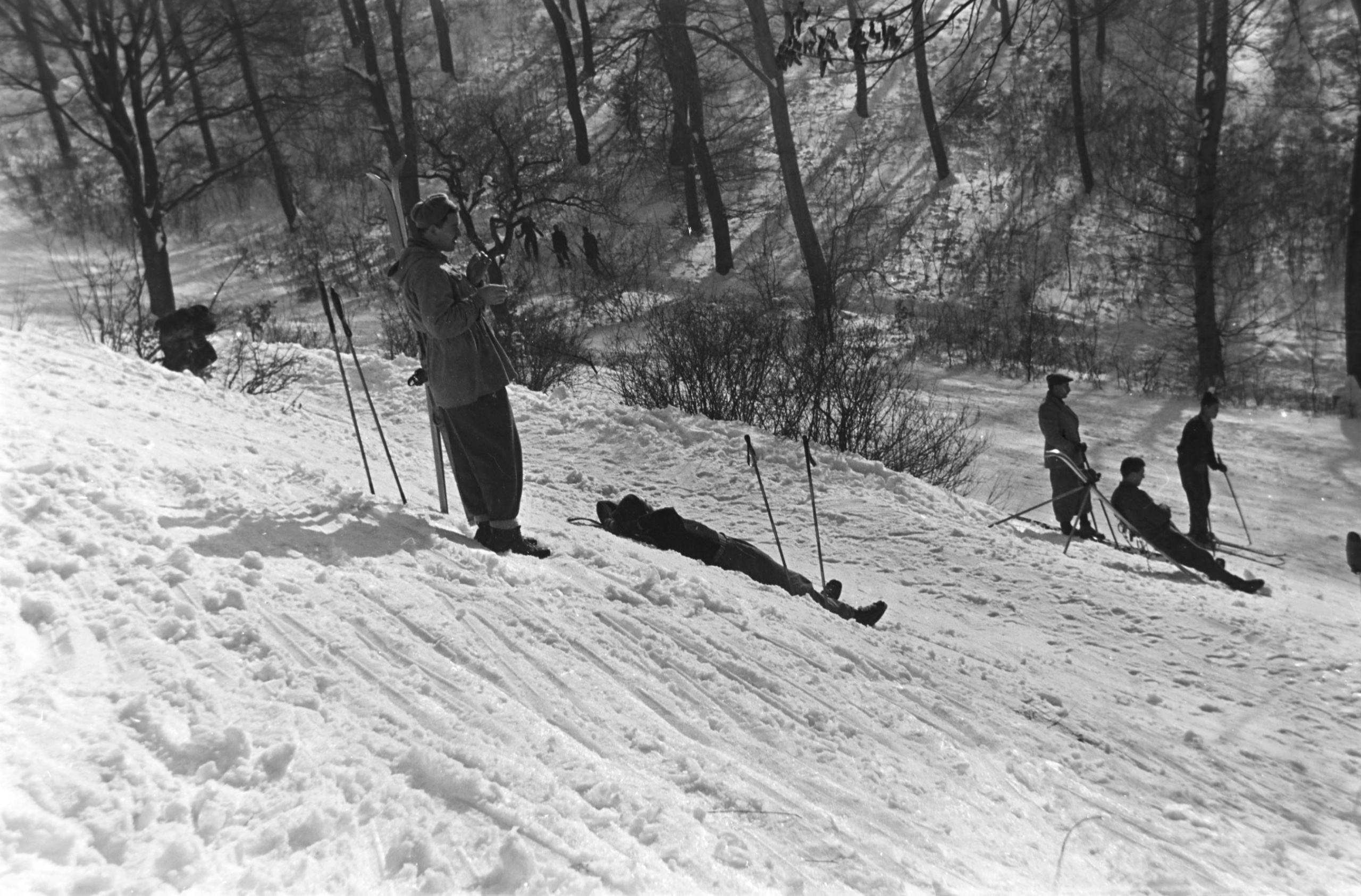 Harangvölgy a Normafa alatt, 1955-ben.