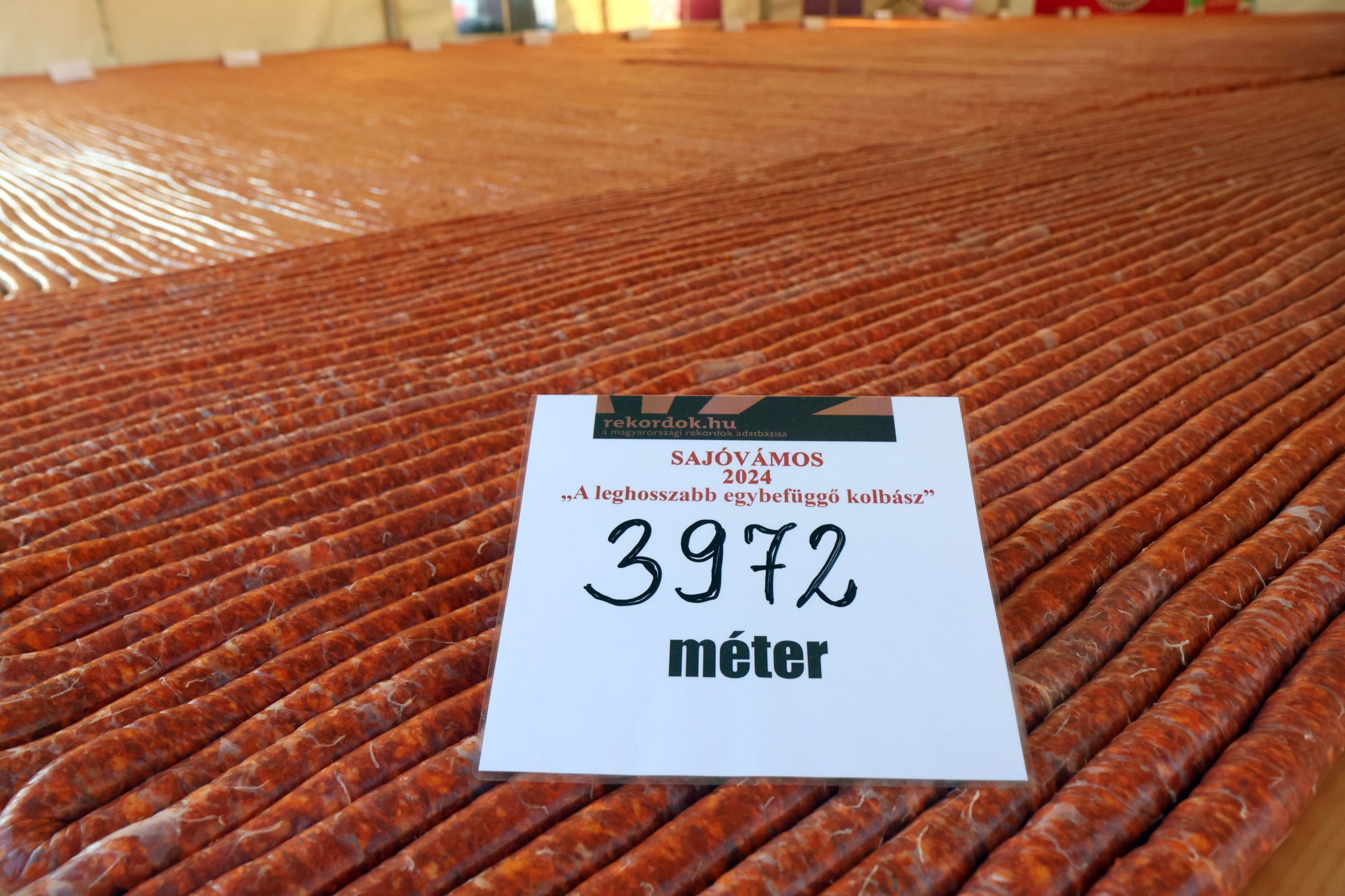 Rekordhosszúságú, 3972 méteres kolbászt készítettek Sajóvámoson