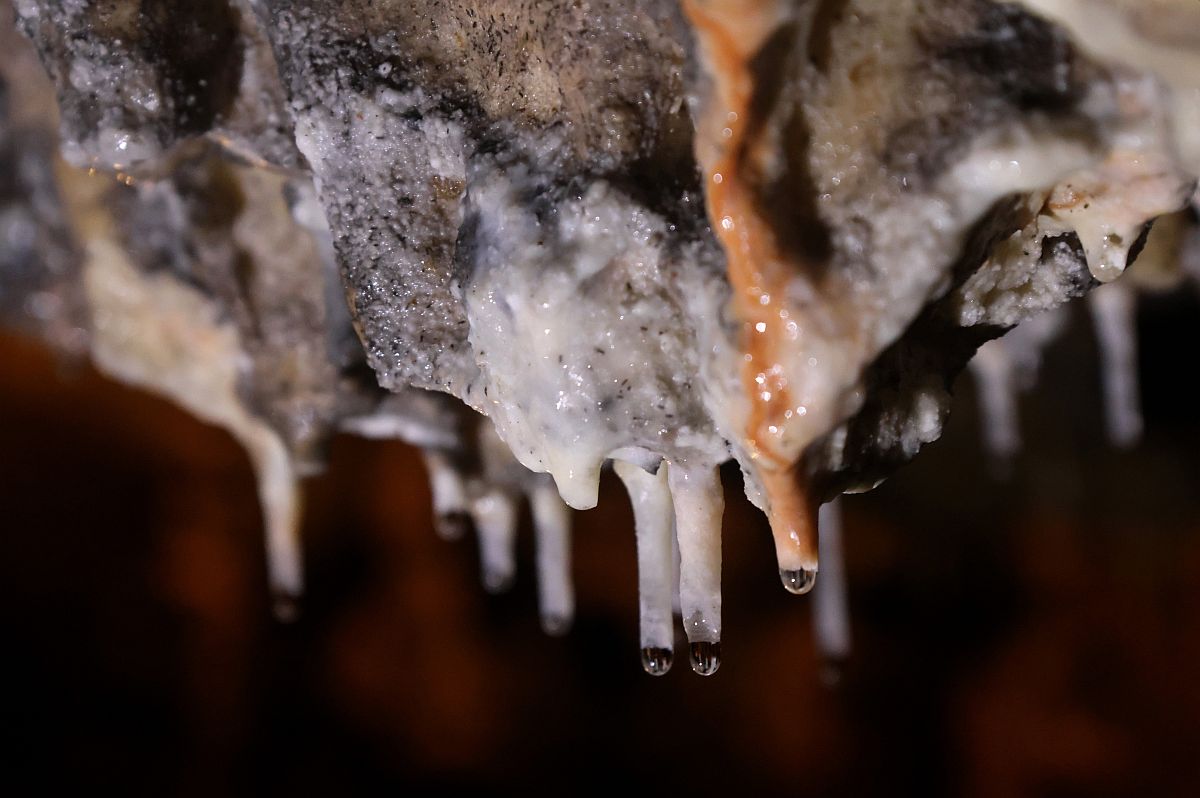 Cseppkőformák az Aggteleki Nemzeti Park Baradla-barlangjában 2024. március 1-jén.