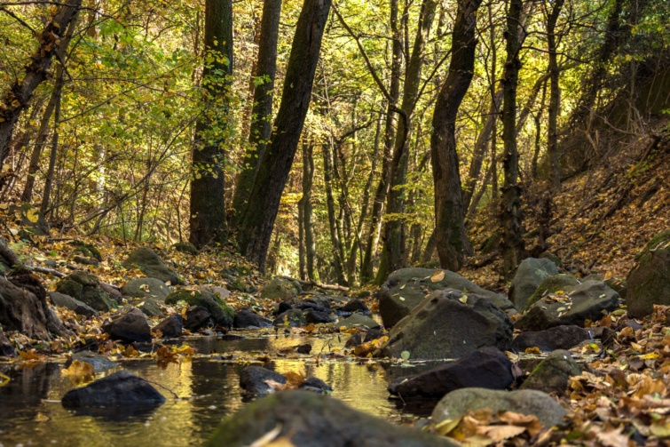 A Dömör-kapu ősszel.