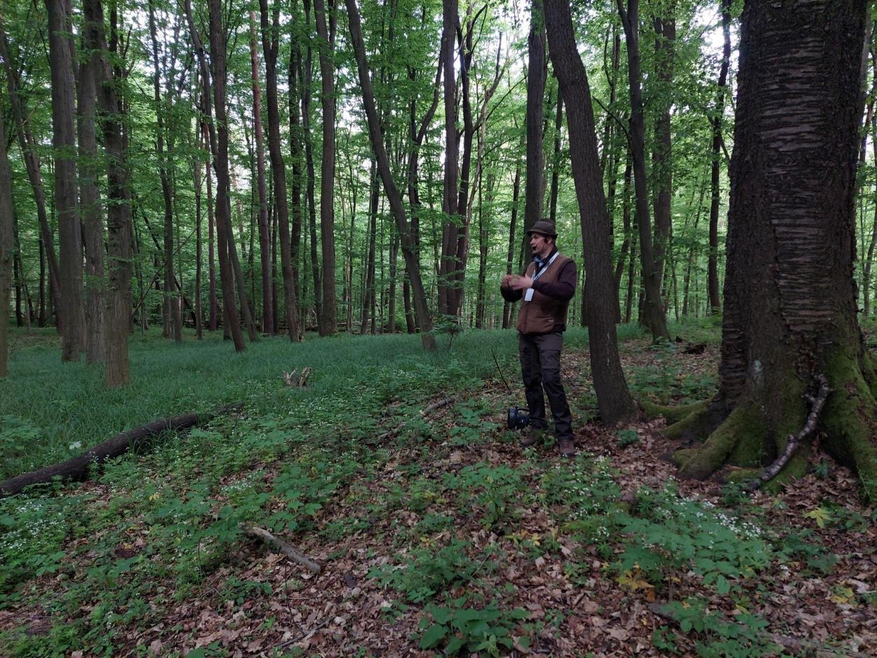 Bózsó Gyula az Ehető erdő túra közben