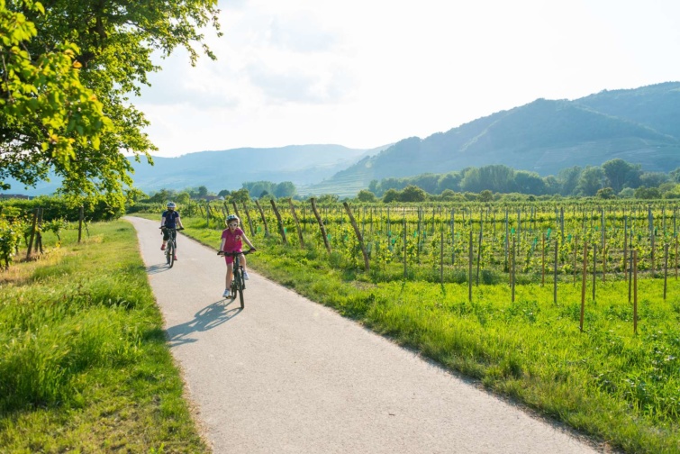 egy osztrák szölőföld mellett aszfaltozott úton teker egy kislány és egy másik biciklis