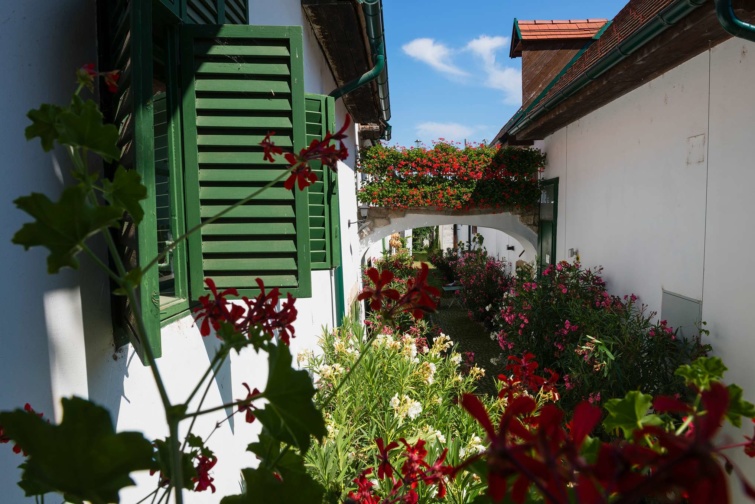 Fertőmeggyes egyik aprócska utcája, fehérre meszelt házakkal, virágokkal és zöld zsalugáterekkel