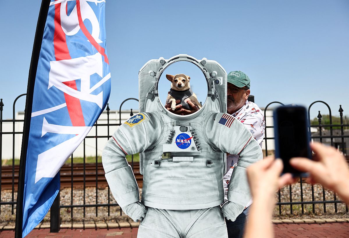 Egy kutyát fotóznak a NASA űrhajósruhájában.