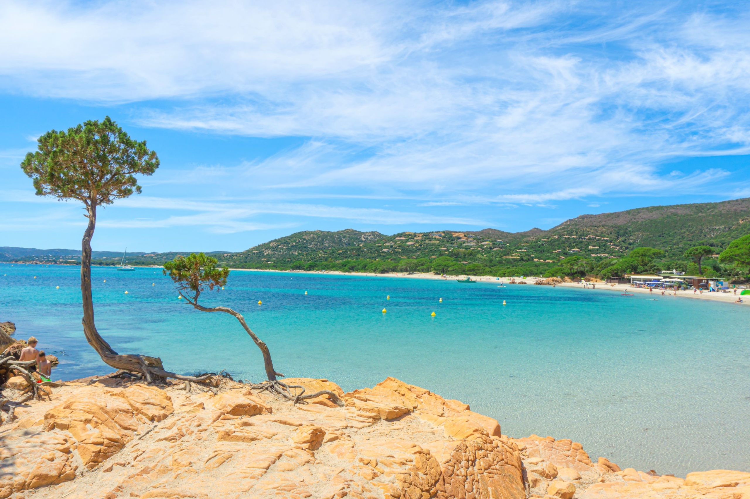 A tengerparton árnyékot nyújtanak a fenyők és cserjék.