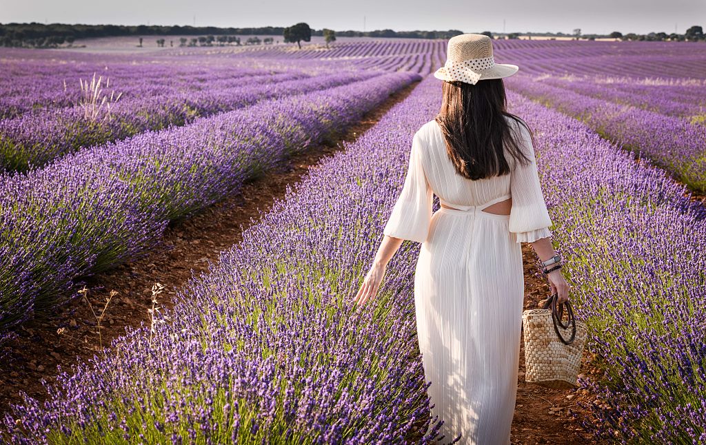 Levendulamezőben fehér ruhás nő