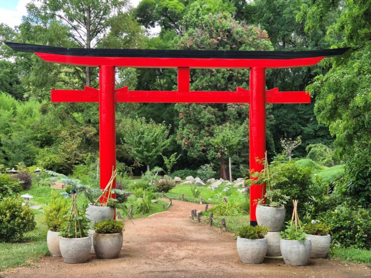 Szegedi Füvészkert