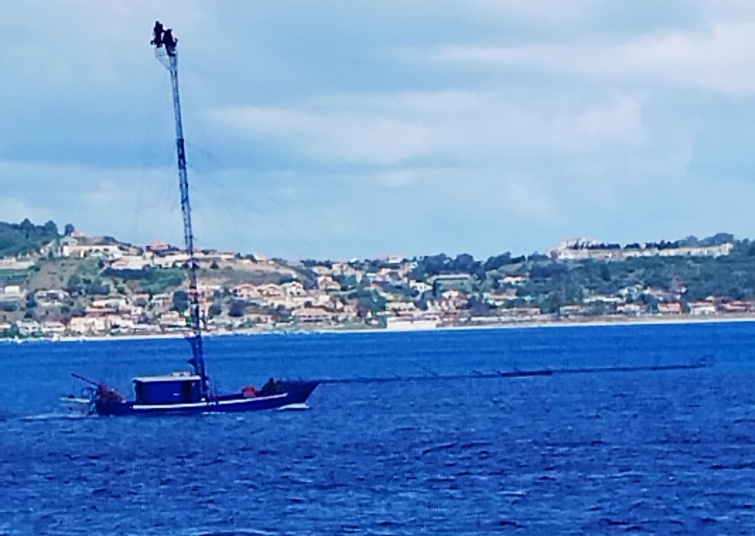 Kardhalászok hajója