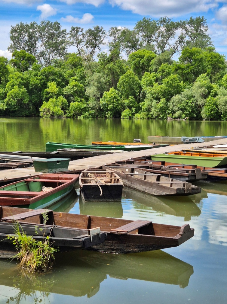 Mártélyi tanösvény.