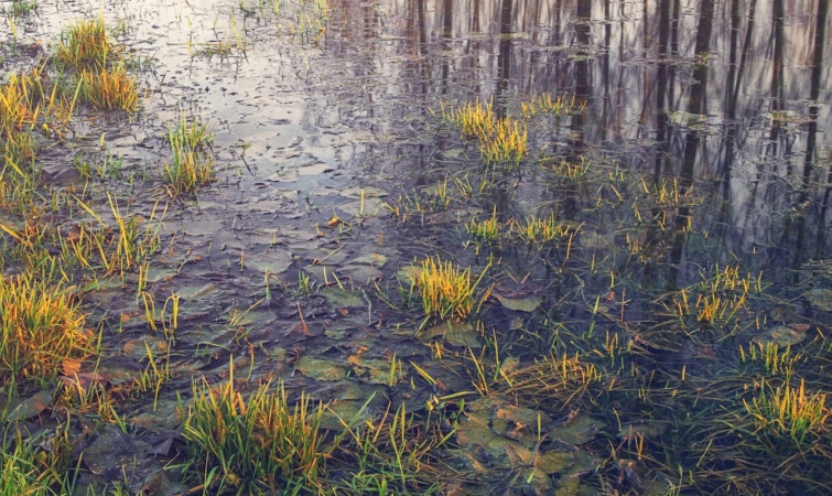 A Zagyva folyó Szolnoknál