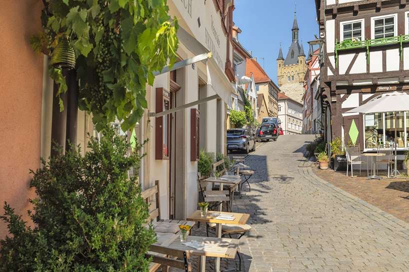 Zöld növény és macskaköves német utca álló autókkal