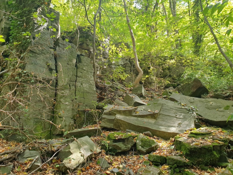 „Bazaltutca”, Vindornyaszőlős