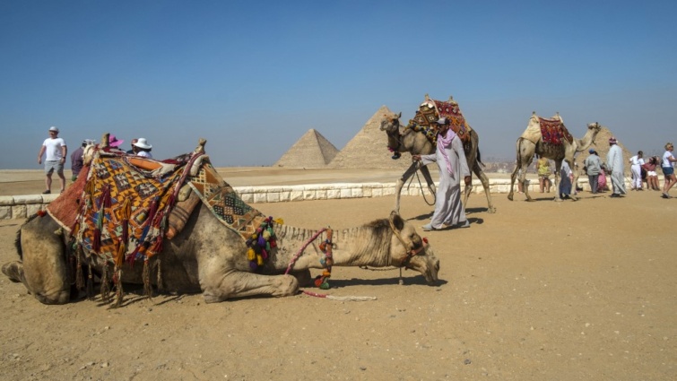 Tevék és piramisok Egyiptomban