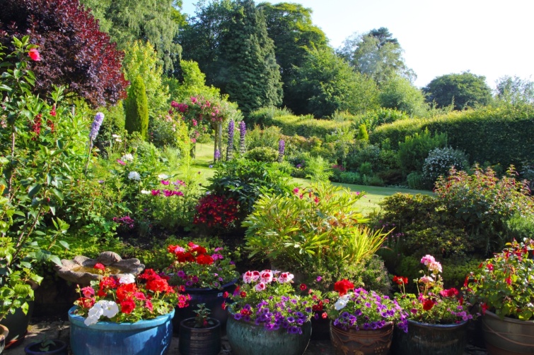 Egy botanikus kert növényei