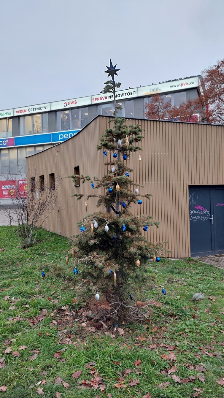 Megőrülnek a csehek egy satnya prágai karácsonyfáért - Startlap Utazás Hloubětín fenyőfája