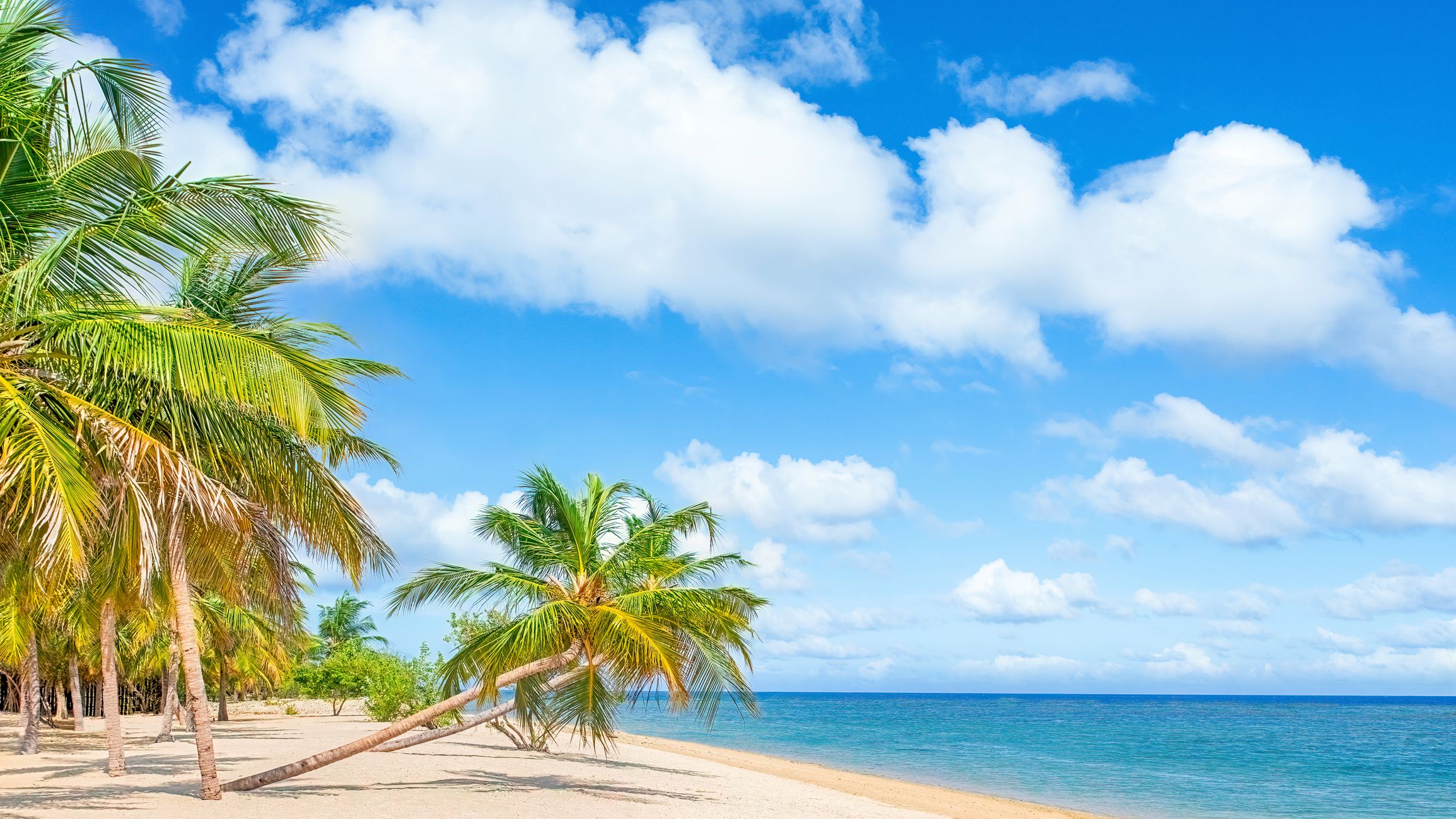 Mirissa beach, Galle