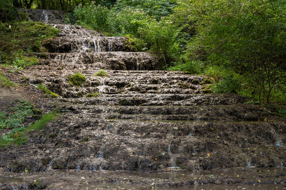 szalajka_vizeses_ - Startlap Utazás