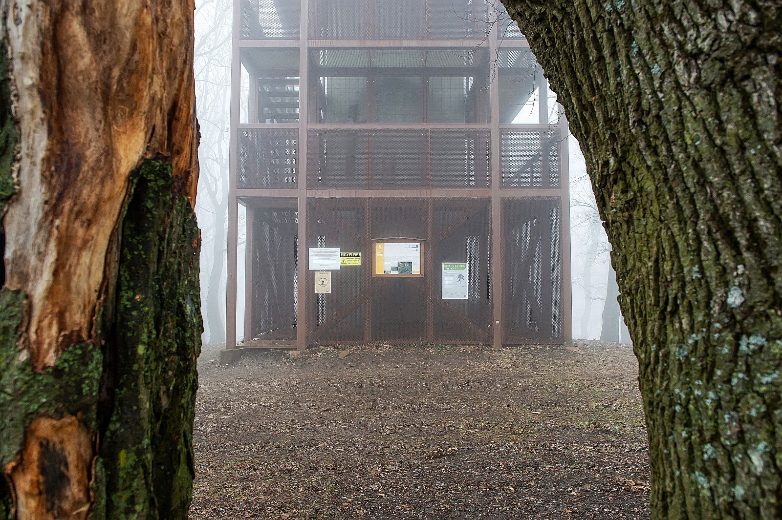 A mecseki Zengőn álló építmény lett az Év kilátója 2025 - Startlap Utazás