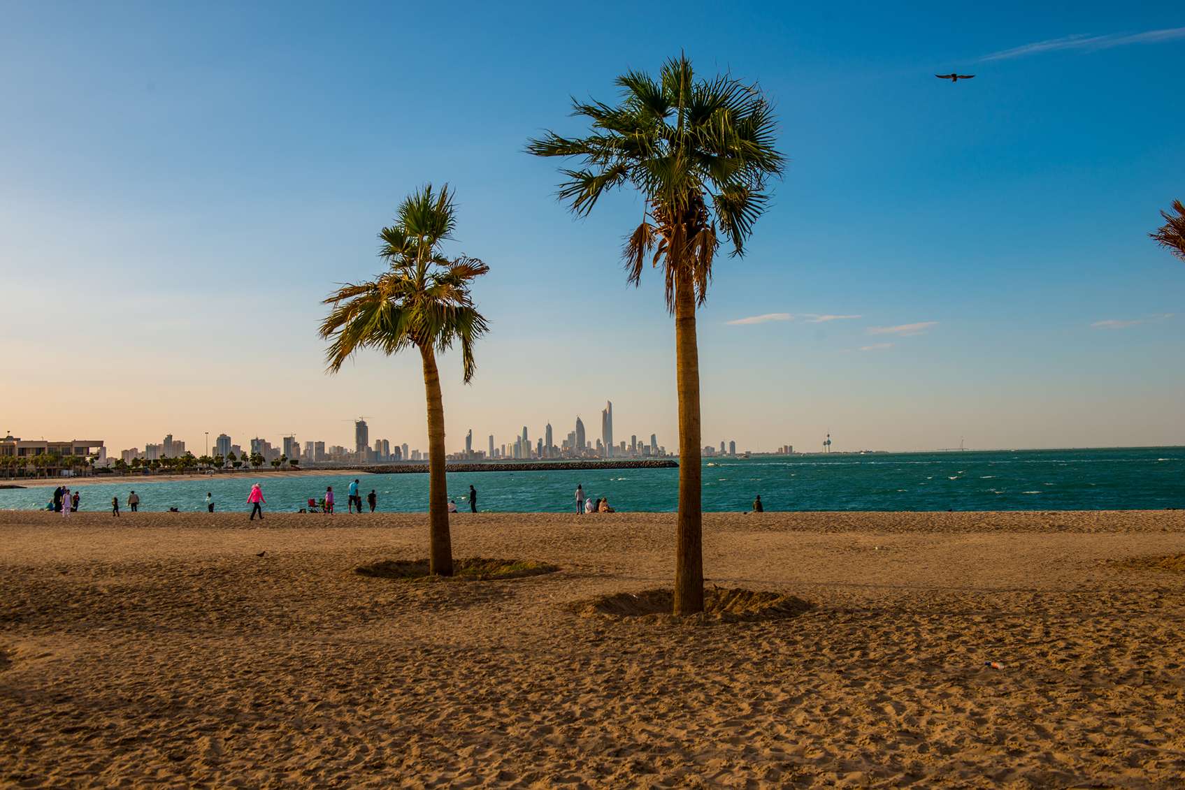 Pálmafák a strandon