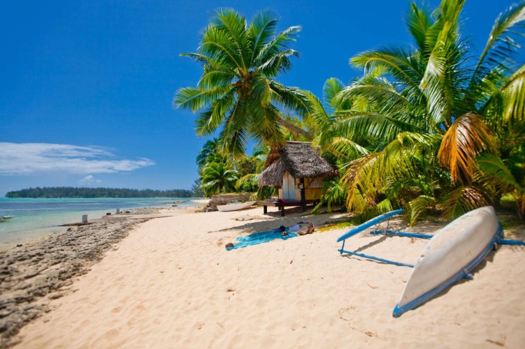 Sziget pálmafákkal